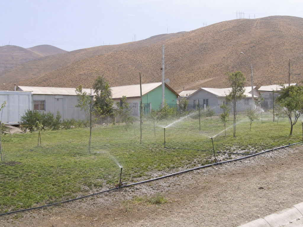 Aspersores regando un área verde comunitaria